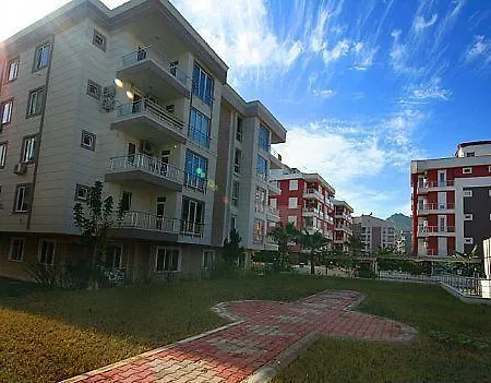 Aslan Antalya